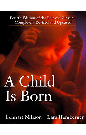 A Child is Born by Lars Hamberger