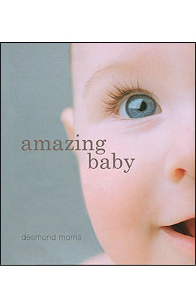Amazing Baby by Desmond Morris