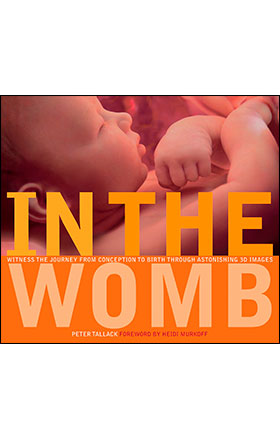 In the Womb by Peter Tallack